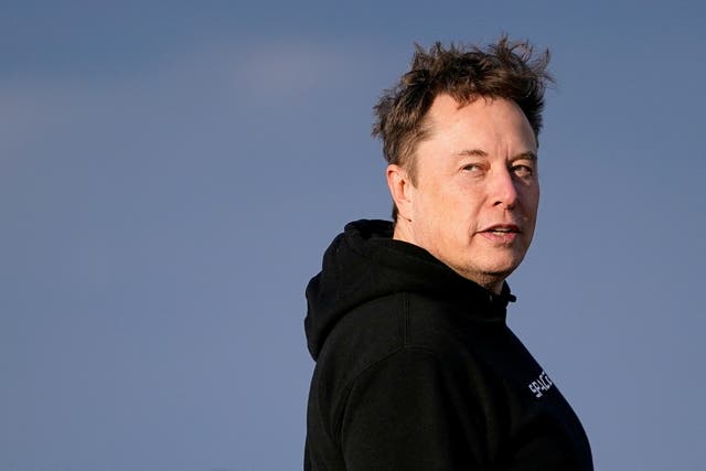 <p>Elon Musk asked crypto influencer Tiffany Fong to have a child with him, according to a new report</p>