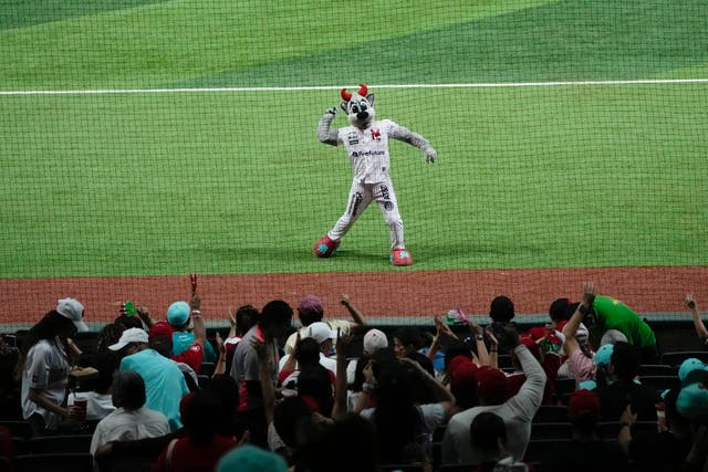 LIGA MEXICANA DE BÉISBOL FANS