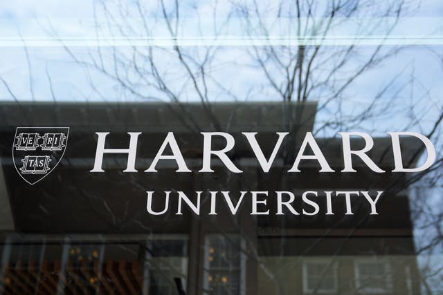 Trump Harvard
