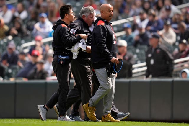 METS-MELLIZOS UMPIRE