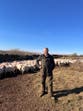 Sheep rustlers turn beautiful UK national park into ‘Wild West’