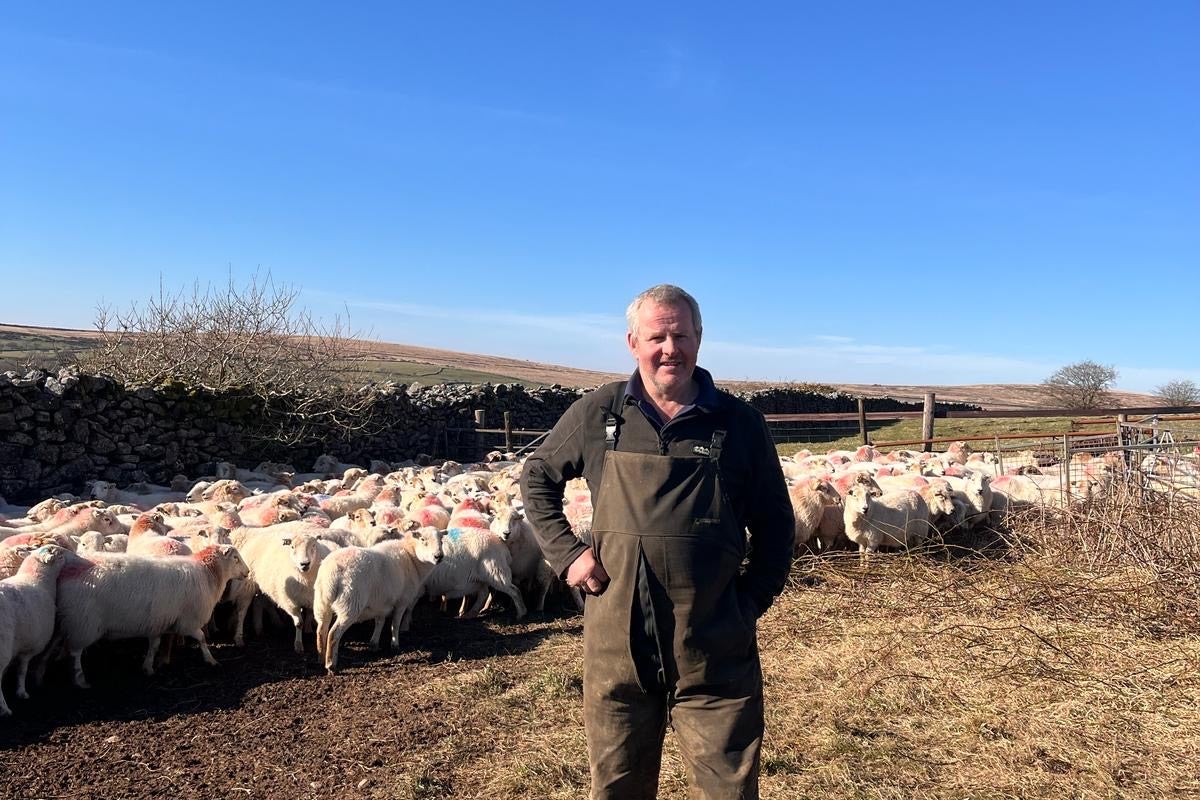 Sheep rustlers turn beautiful UK national park into Wild West'