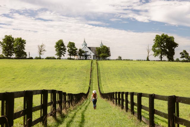 <p>Kentucky's landscapes range from rolling green hills to rugged mountains, picturesque small towns and lively cities</p>
