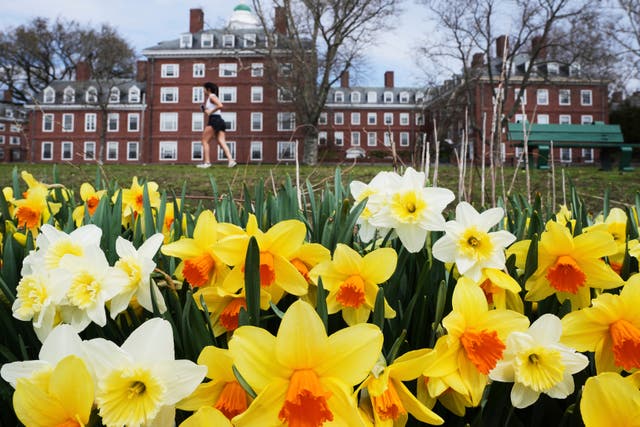 TRUMP-HARVARD