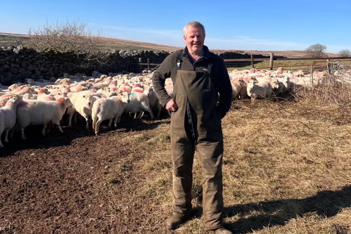 Sheep rustlers turn beautiful UK national park into ‘Wild West’ Sheep rustlers turn beautiful UK national park into ‘Wild West’