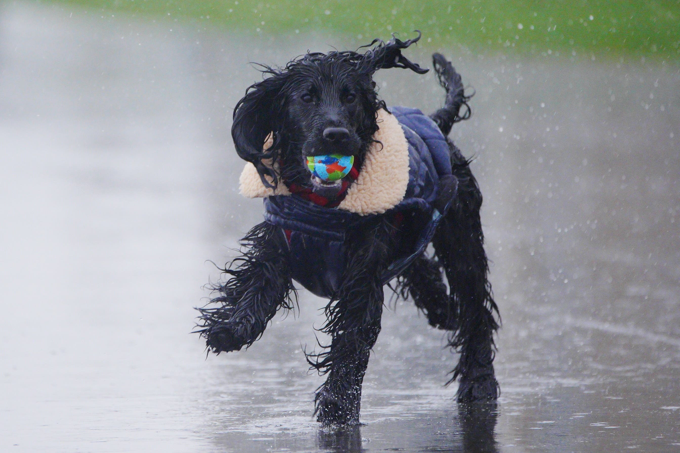 Parts of the UK are braced for a damp start