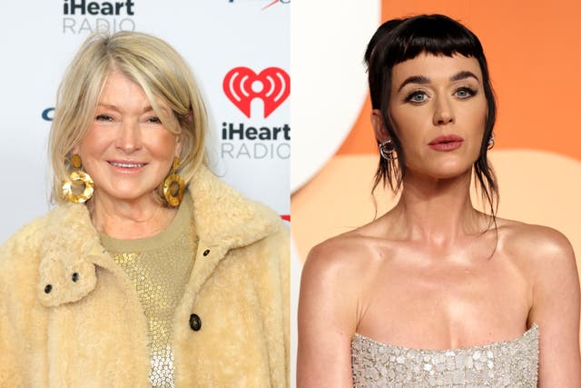 <p>Stewart included a lyric from Perry’s song ‘Firework’ in her Instagram post</p>