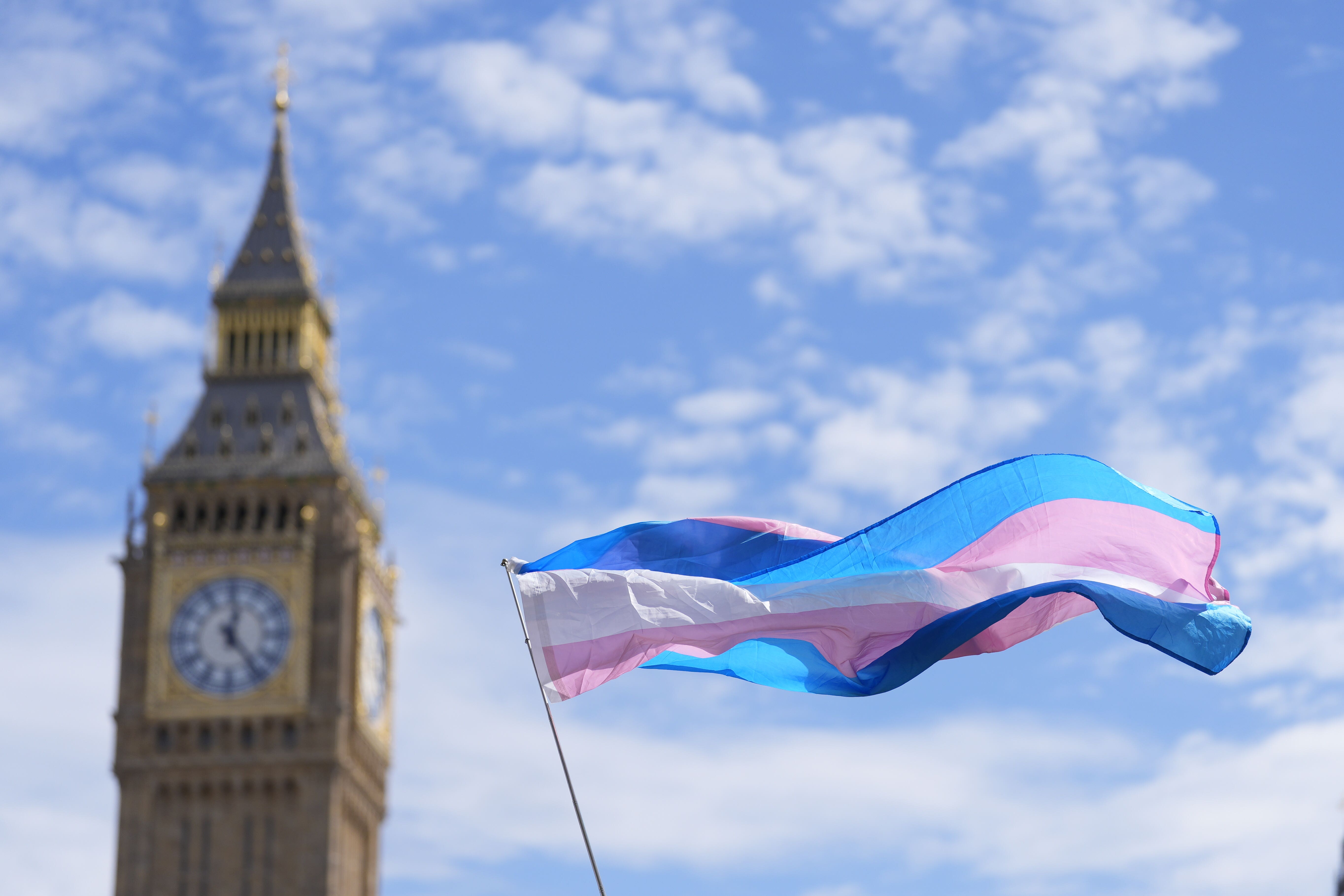 Campaigners take part in a rally organised by trans rights groups (Andrew Matthews/PA)