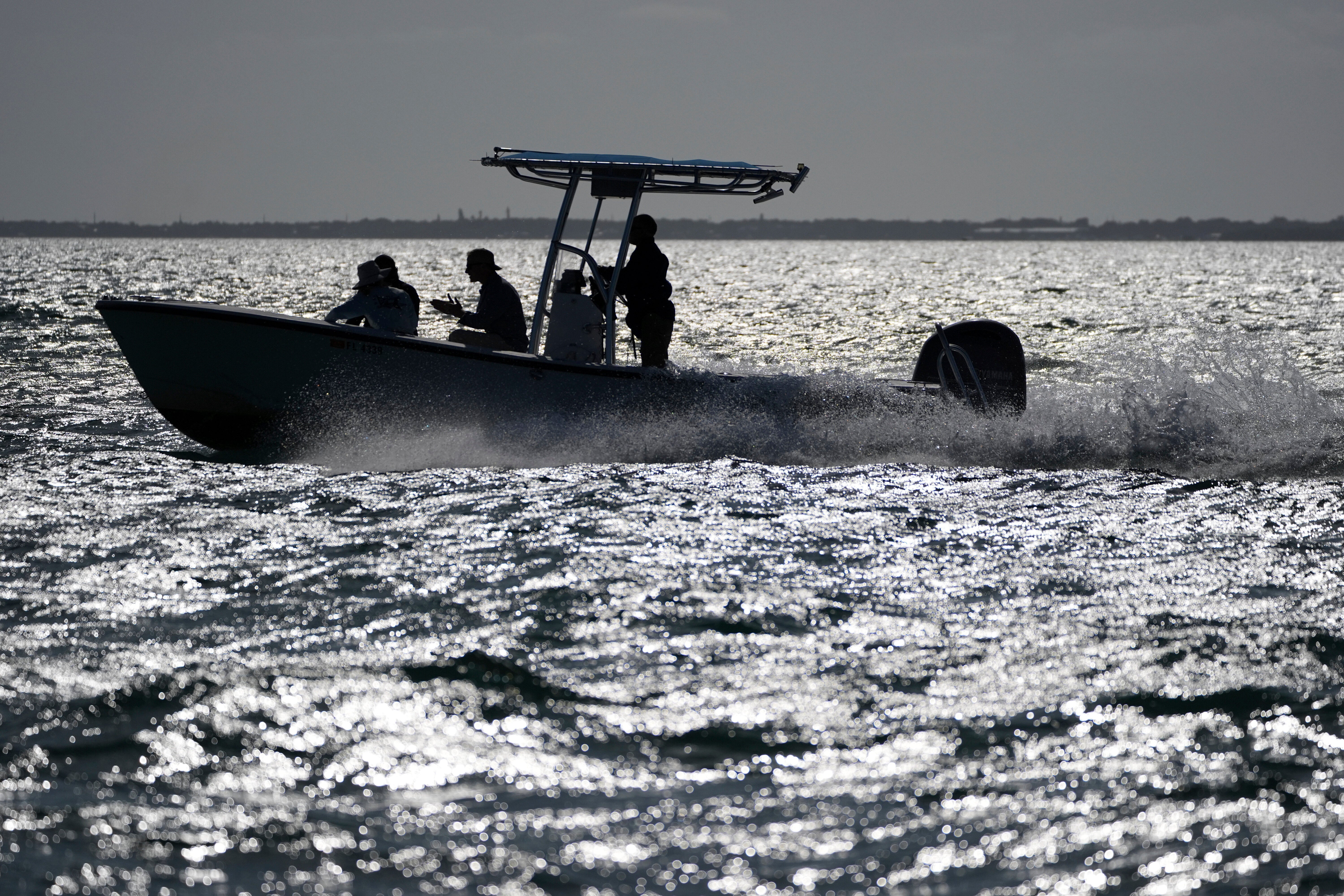 Everglades Restoration Efforts