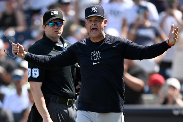 YANKEES-JUDGE