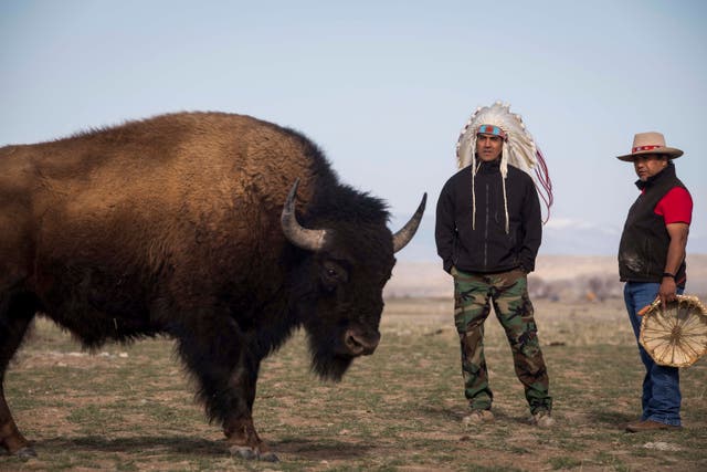 Climate Wyoming Buffalo