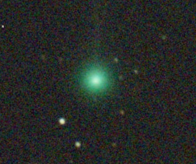 <p>This image provided by Mike Olason shows the newly-discovered comet SWAN on April 6, 2025. (Mike Olason via AP)</p>