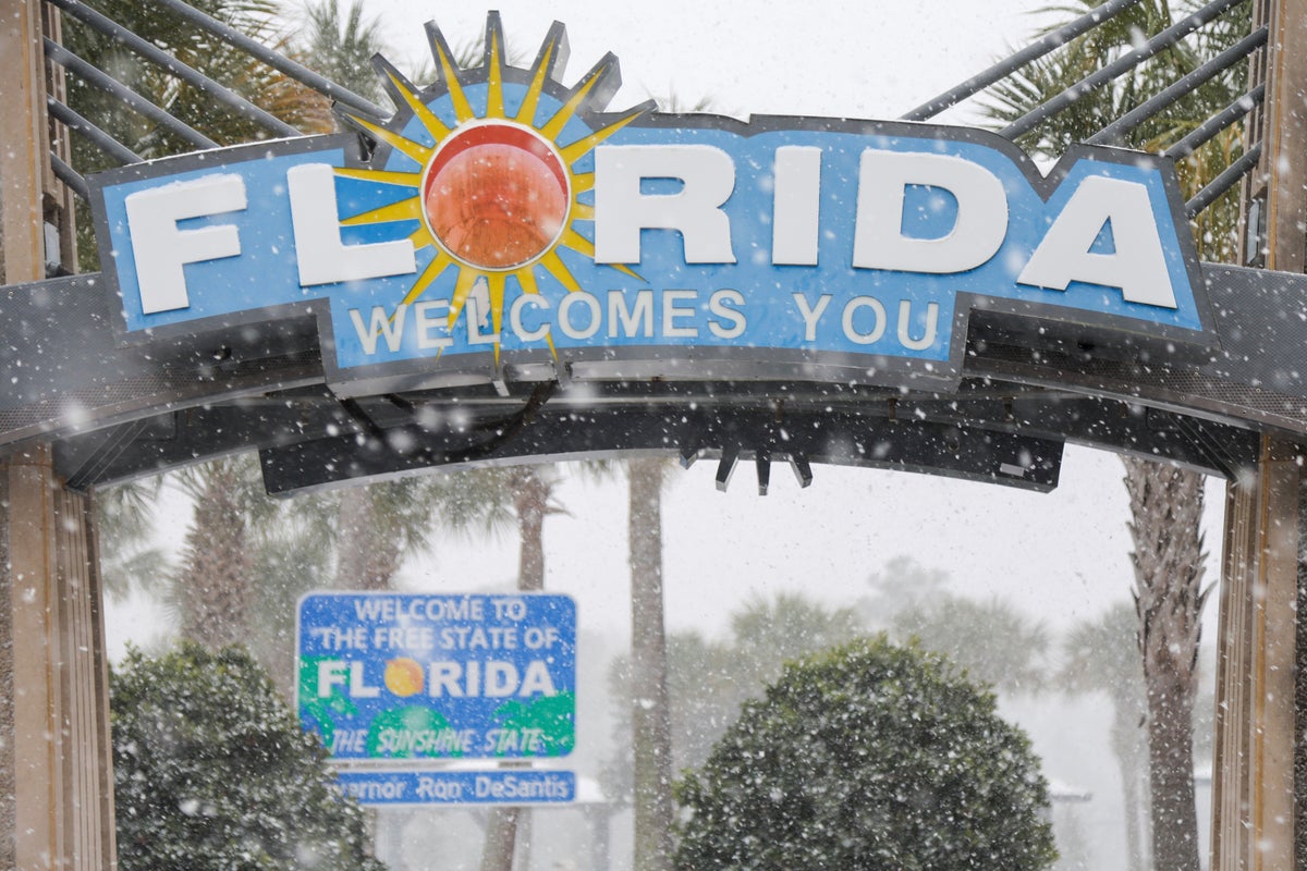 Some GOP states are targeting driver's licenses issued to immigrants illegally in the US