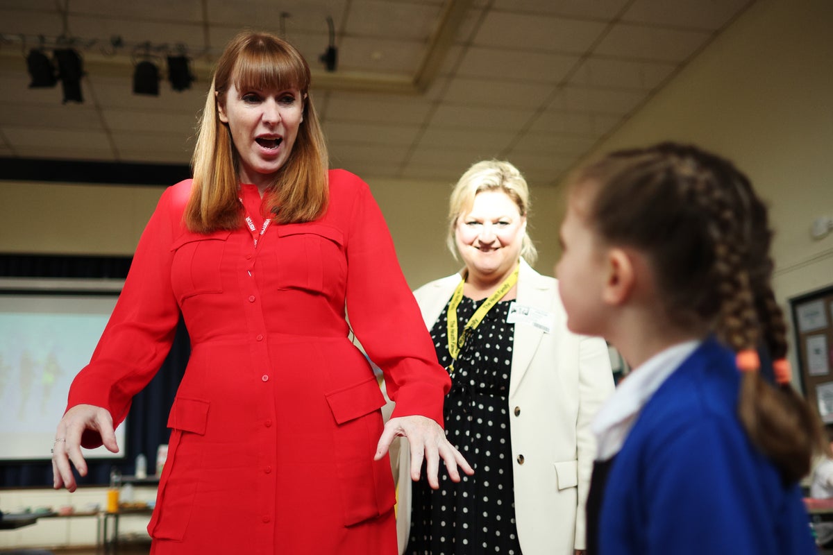 Angela Rayner pushed for middle-class families to lose child benefit, leaked memo reveals