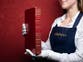 To buy or not to buy? 300-year-old Shakespeare books to be auctioned for up to £4.5m