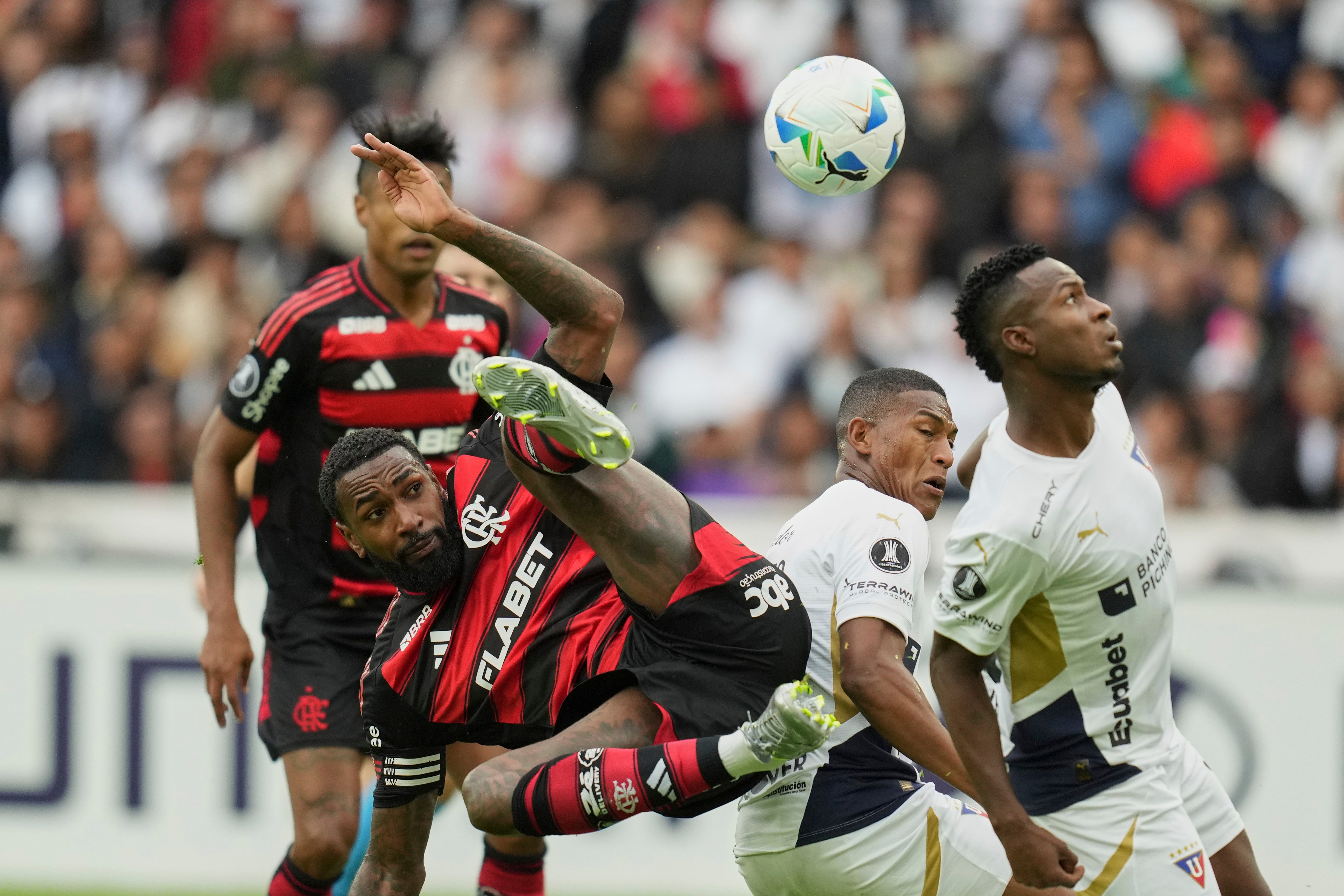 LIBERTADORES-RESUMEN