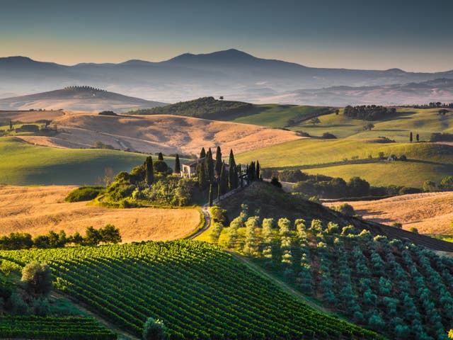 <p>Tuscany is famous for its rolling green hills </p>