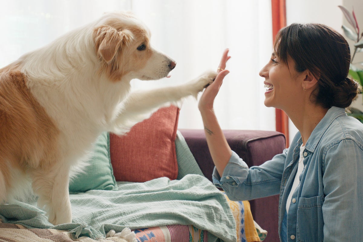 Dog owners say their bond with their pet is more satisfying than with their partner