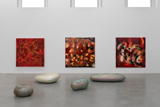 <p>Installation view: Raging Planet at Newport Street Gallery, London</p>