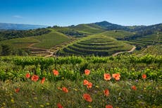 Wild wanders and breathtaking vistas: Go off-grid amid the Costa Dorada’s incredible nature