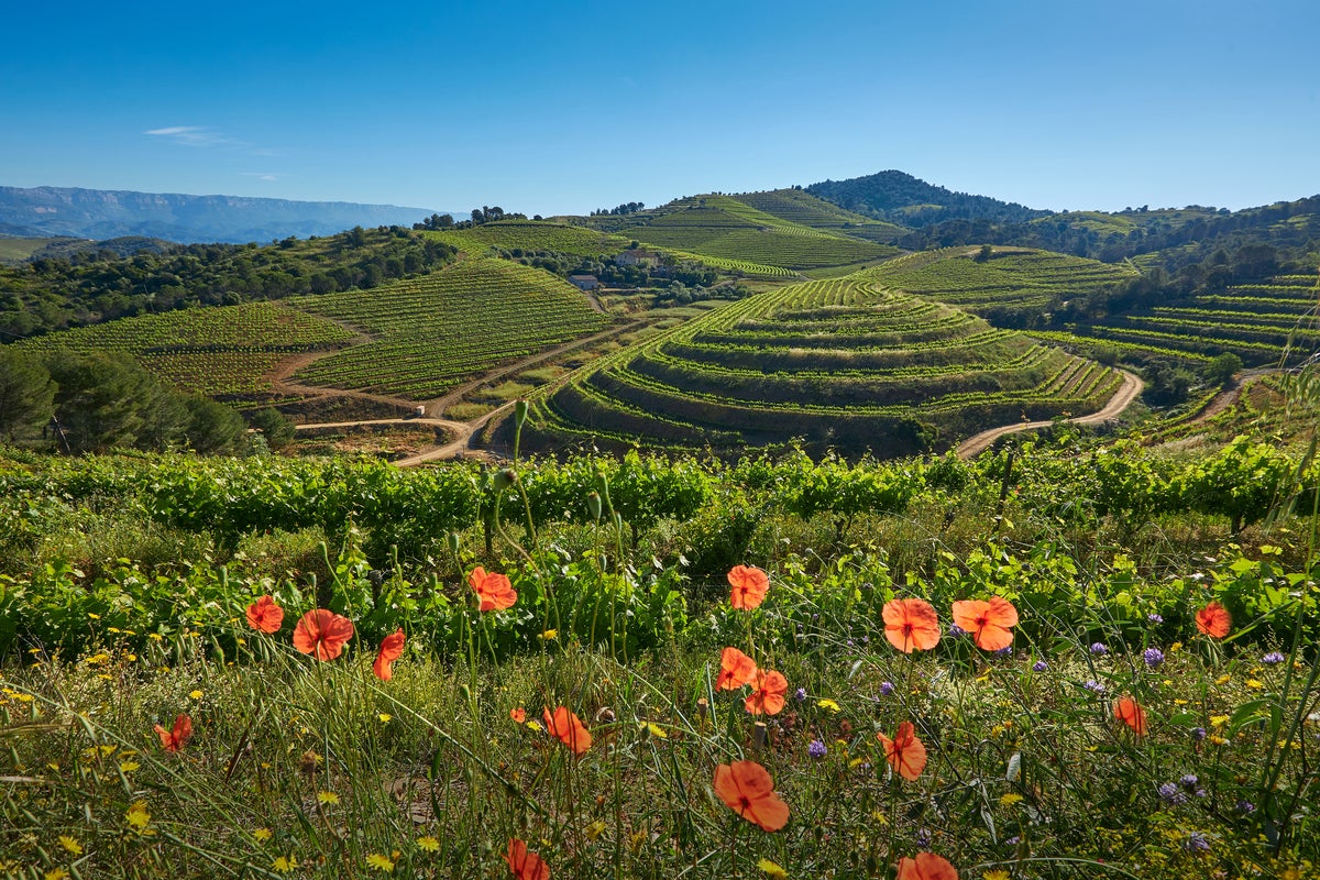 Wild wanders and breathtaking vistas: Go off-grid amid the Costa Dorada’s incredible nature