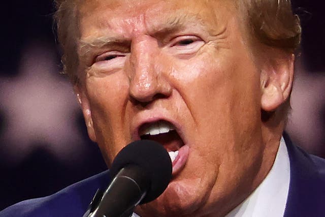 <p>Polls show rage has been growing since 2016 – a year in which we became more politically divided than ever</p>