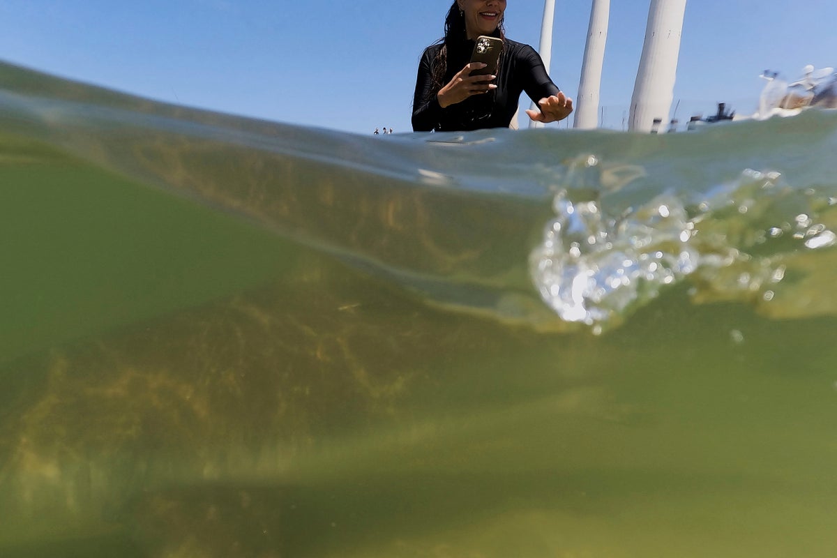 Swimmer's remains found after shark attack in waters off Israel's Mediterranean coast