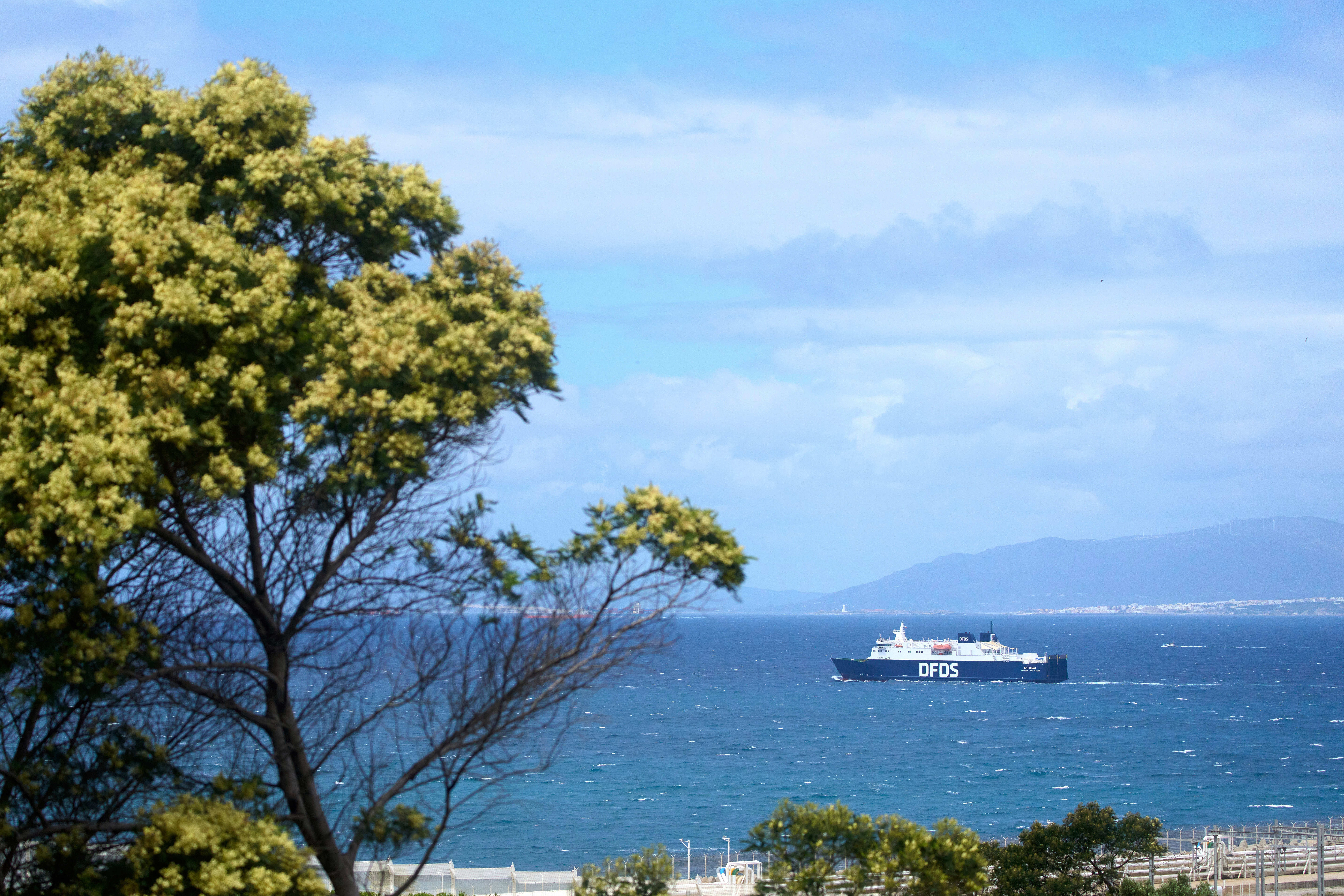 Morocco Trump Tariffs