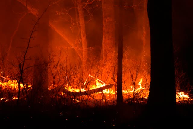 <p>The Jones Road Wildfire, 8,500 acres as of Tuesday night, burns near Waretown, New Jersey.  </p>