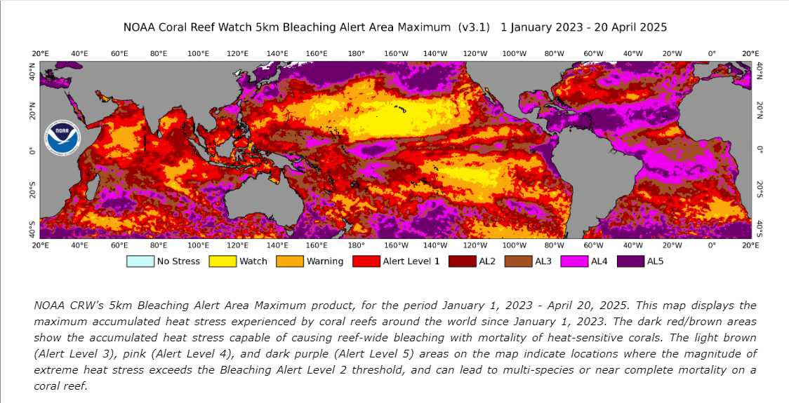 Map showing global coral bleaching alert levels from January 2023 to April 2025. Areas in red, pink and purple indicate regions experiencing severe marine heat stress, with Alert Levels 3 to 5 representing widespread coral bleaching and high risk of coral death
