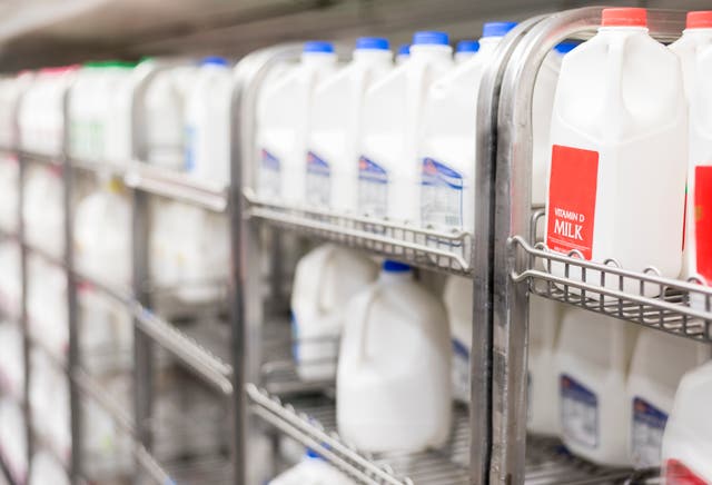 <p>The FDA had reportedly suspended its milk quality-control testing program following Trump layoffs</p>