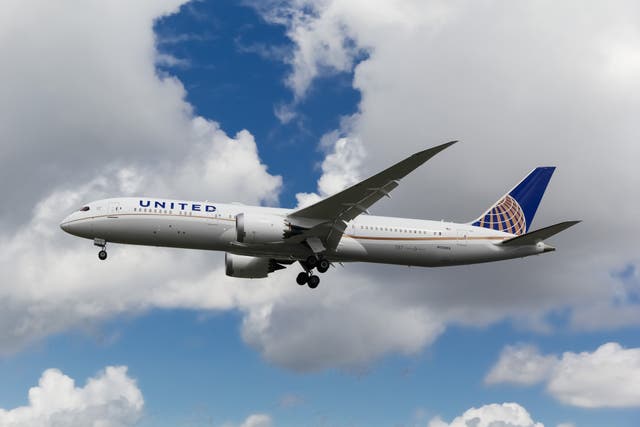 <p>A United Airlines Boeing 787 Dreamliner. The United flight experienced severe turbulence whilst flying over Butuan City, Philippines, on March 27</p>