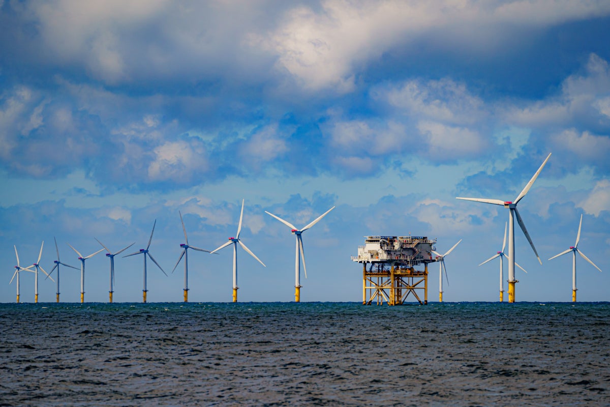 Windfarm which could power 1 million UK homes scrapped over rising costs