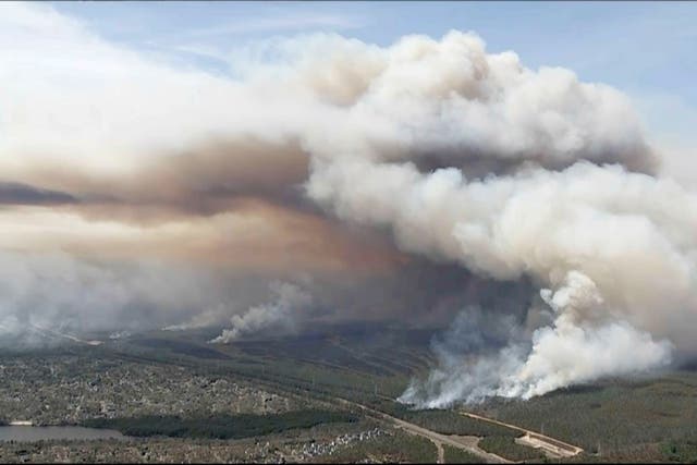 Wildfire New Jersey