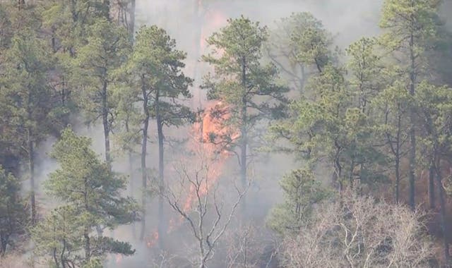 Wildfire New-Jersey