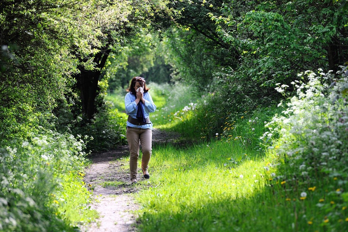 I’m an allergy expert. Pollen season will be worse this year – here’s how to avoid symptoms – UK Times I’m an allergy expert. Pollen season will be worse this year – here’s how to avoid symptoms – UK Times