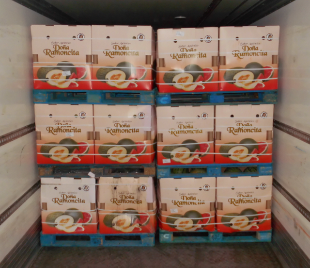 <p>The 159 packages of cannabis were hidden inside 30 crates of watermelons </p>