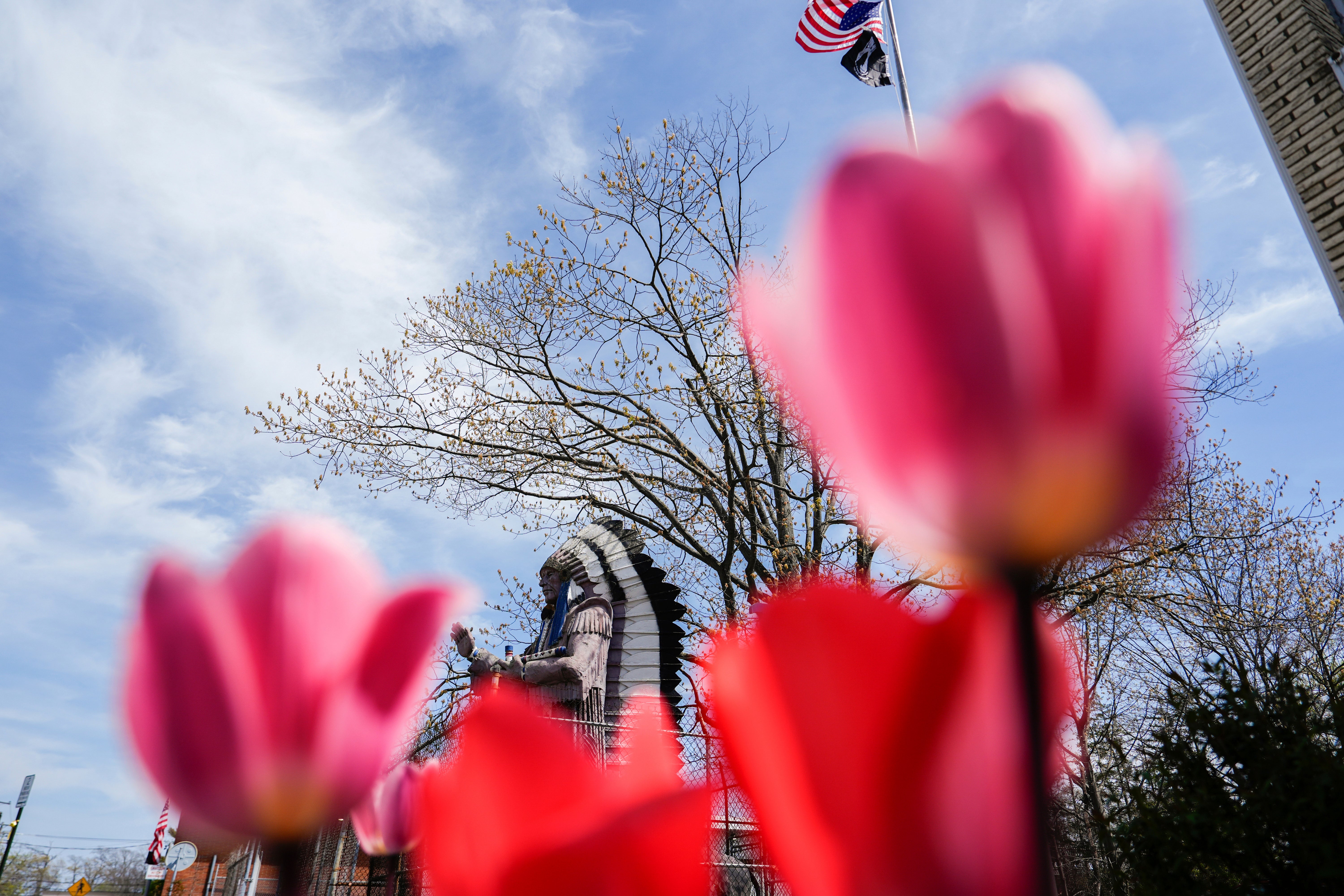Native American Mascots Schools