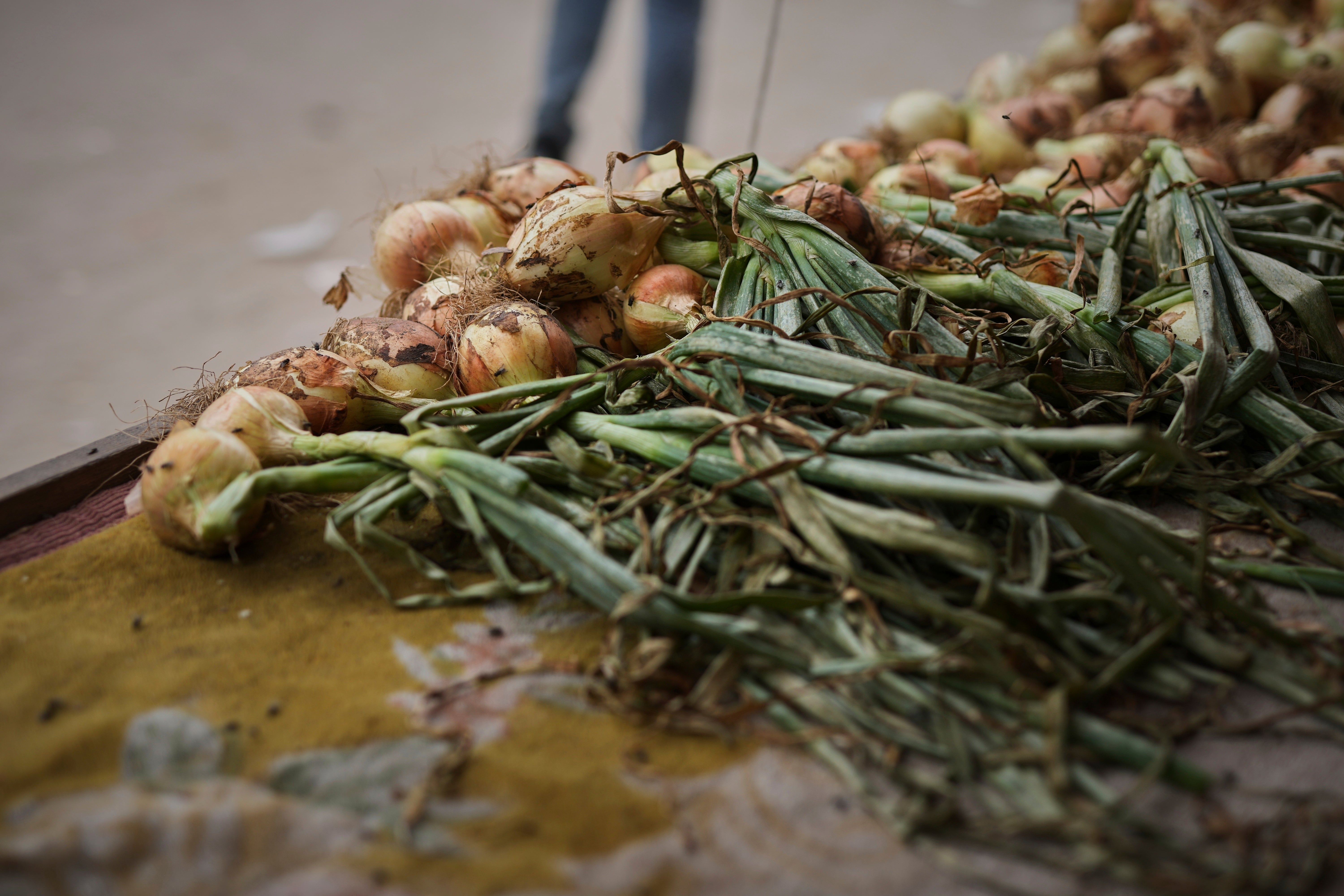 Mideast Wars Feeding Gaza's Families