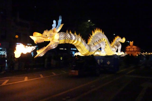 South Korea Lotus Lantern Festival