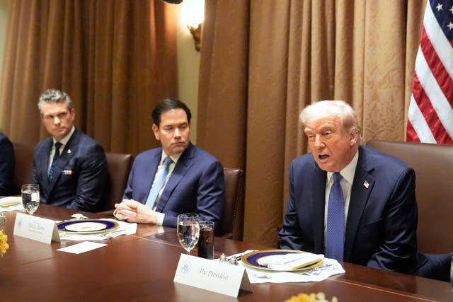TRUMP-100 DÍAS