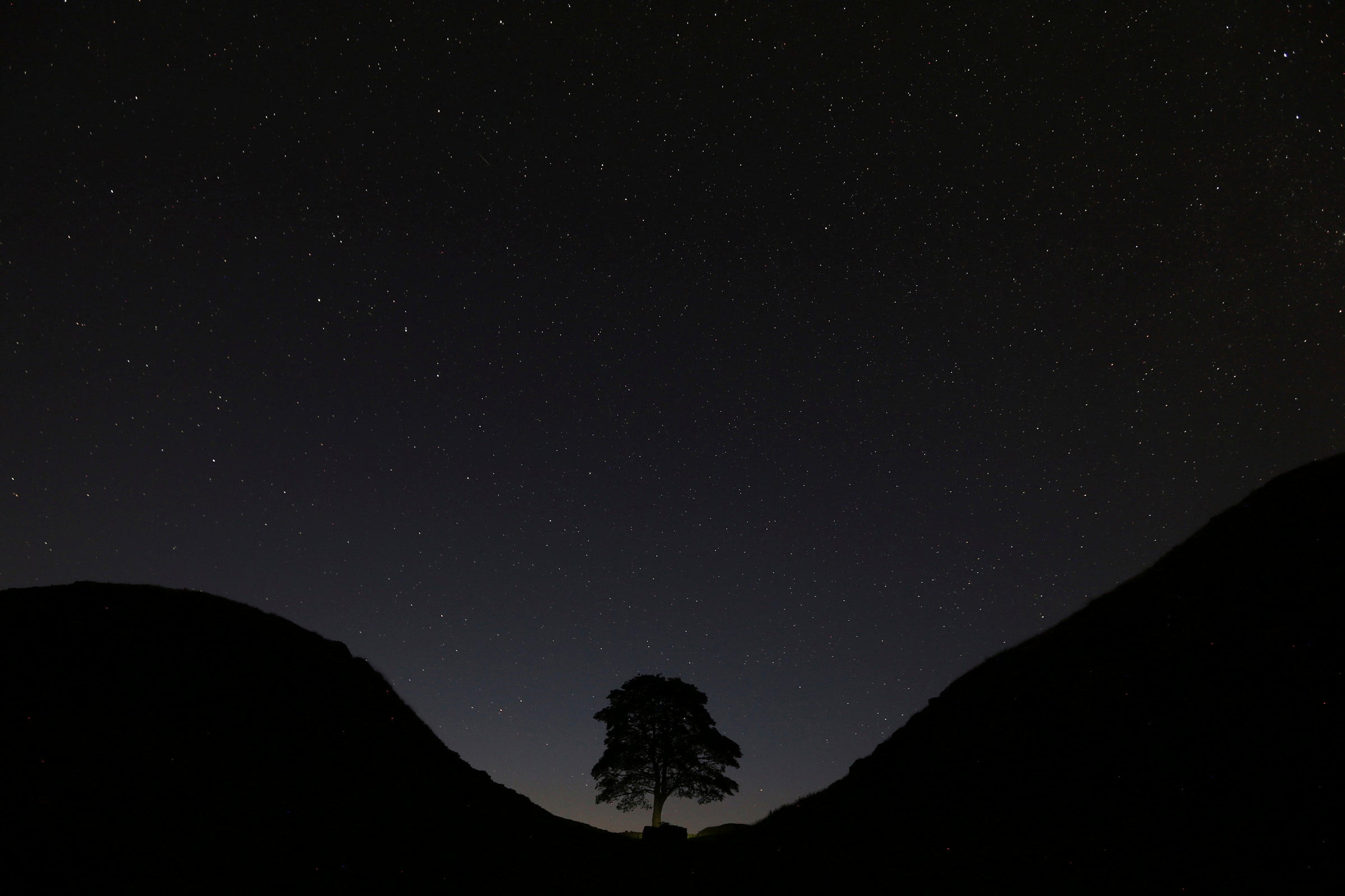Britain-Sycamore Gap Tree Cut Down