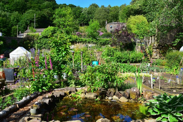 <p>This trend hasn't blossomed overnight</p>