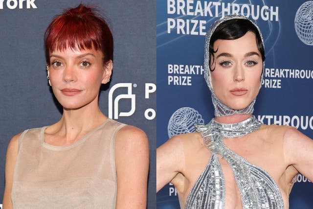 <p>Lily Allen blames her ‘internalized misogyny’ for why she came after Katy Perry and the Blue Origin space flight</p>