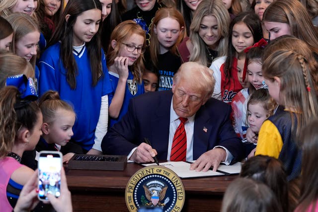 <p>Trump 100 Days</p>