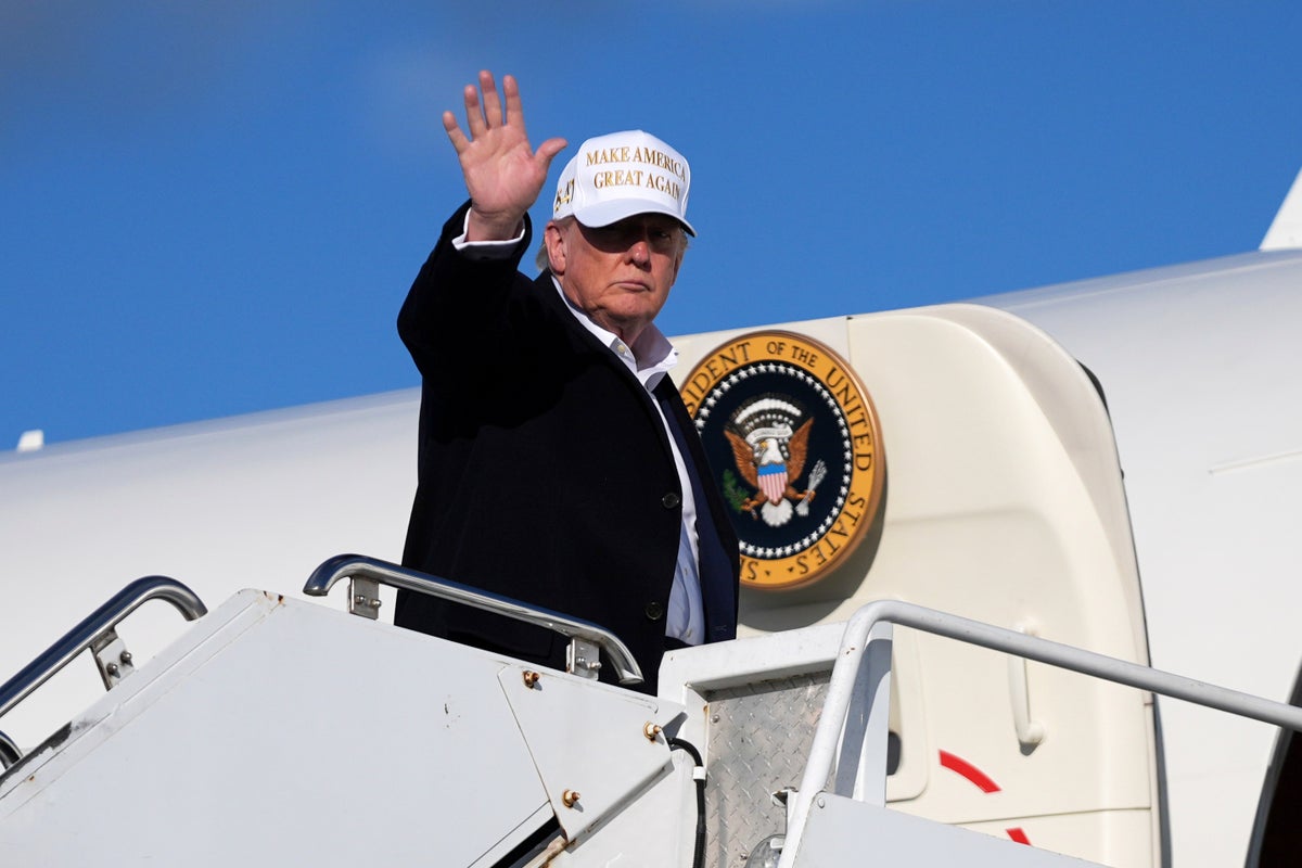 Trump admits it’s possible US citizens could be deported by mistake: ‘Nothing will ever be perfect in this world’ Trump admits it’s possible US citizens could be deported by mistake: ‘Nothing will ever be perfect in this world’