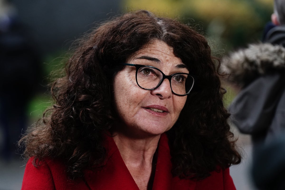 New suspect ethnicity guidance ‘may not stop spread of disinformation’, policing minister admits