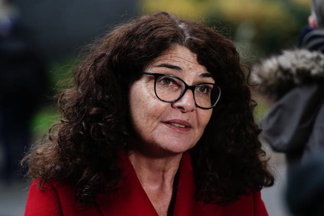 Home Office minister Dame Diana Johnson expressed concerns about how people could go online and ‘in a few clicks’ buy such weapons (Aaron Chown/PA)