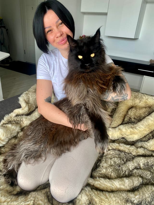 <p>Zeus the cat and owner Daniela can be found sharing content on @zeus.mainecoon.official</p>