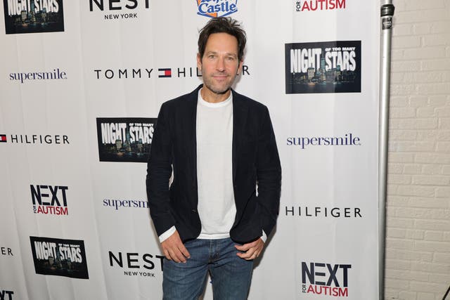 <p>Paul Rudd recalled an onstage mishap from early in his career</p>